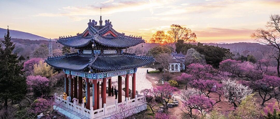我公司AI胚胎评估系统的临床实验结果首次在生殖医学学术会议上报告