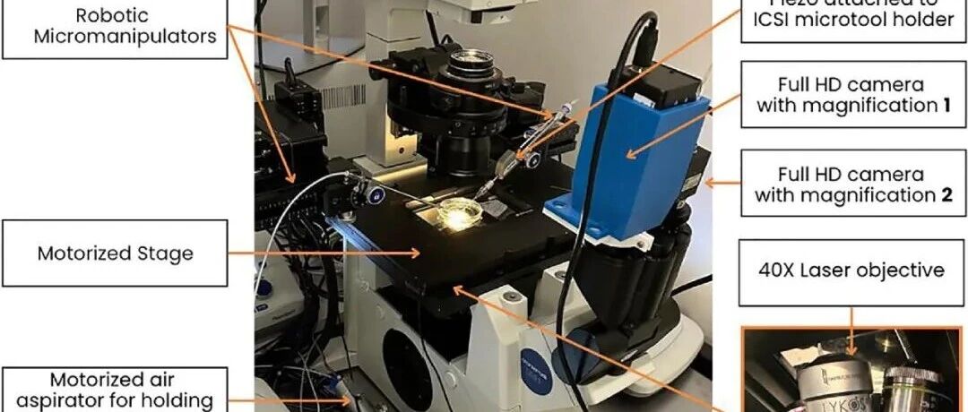 数字化远程操控 ICSI 系统：技术集成与临床可行性研究